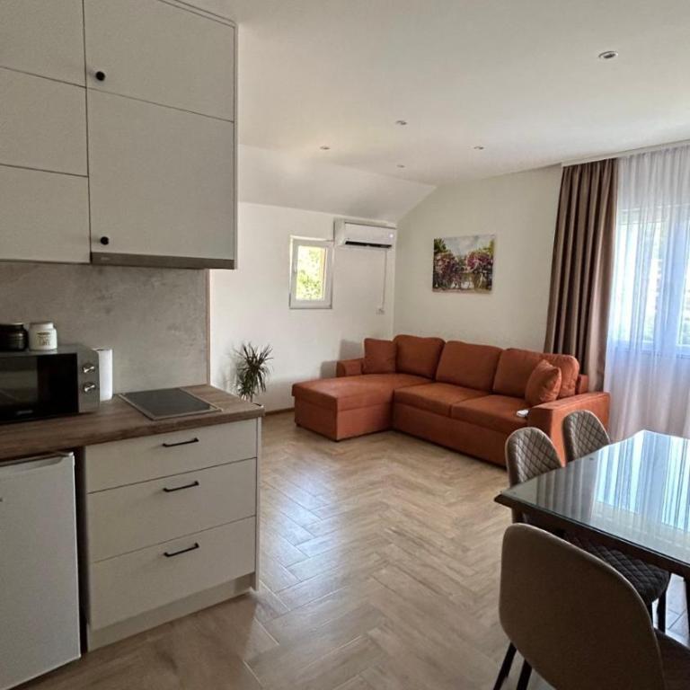 Apartmani Radmanovic - Deluxe One-Bedroom Apartment - 6