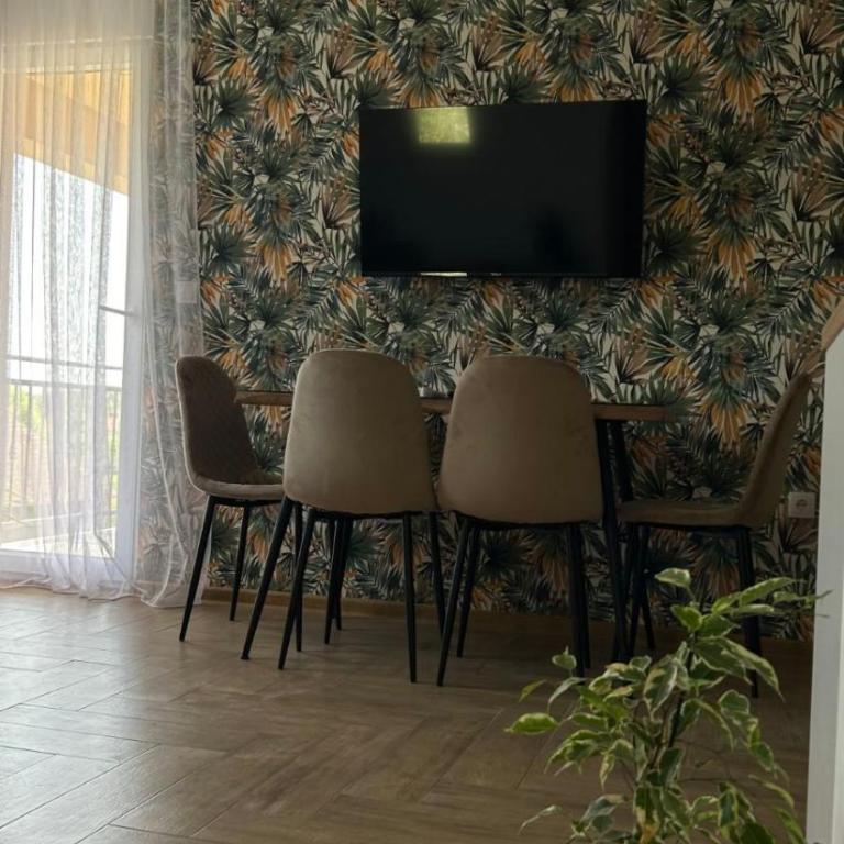 Apartmani Radmanovic - Deluxe One-Bedroom Apartment - 19