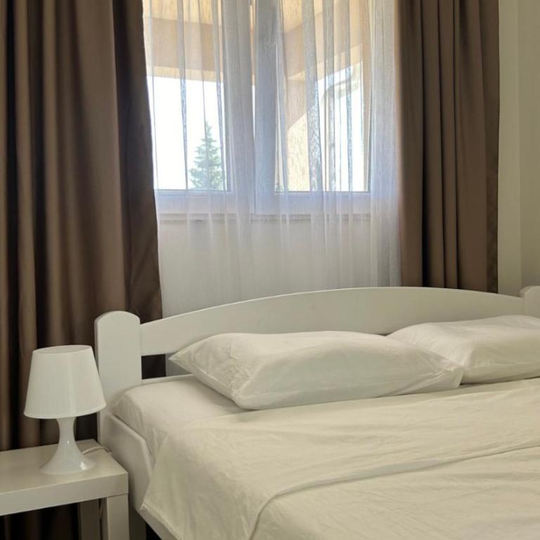 Apartmani Radmanovic - Deluxe One-Bedroom Apartment - 12