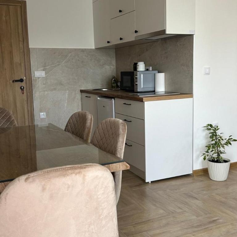 Apartmani Radmanovic - Deluxe One-Bedroom Apartment - 16