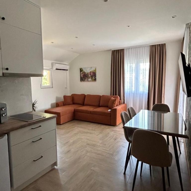 Apartmani Radmanovic - Deluxe One-Bedroom Apartment - 2