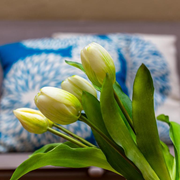 iFlat Wonderful Home in Monti - Appartamento con 1 Camera da Letto - 27