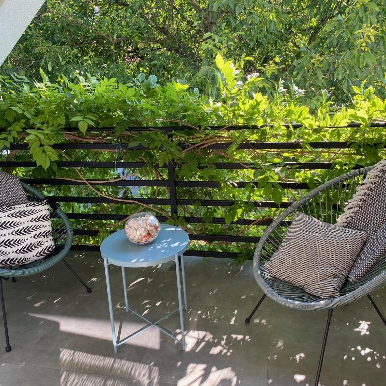 Vila Pobeda - Deluks Apartman sa 3 Spavaće Sobe - 1