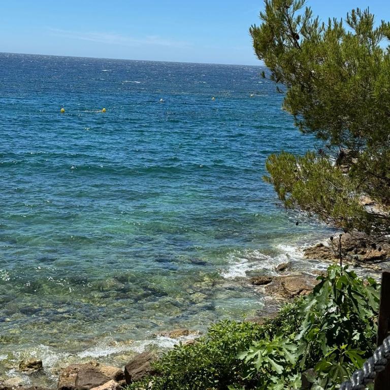 Bandol A Bandol cha cha cha - Appartement - Chambre Double - Vue sur Parc - 30