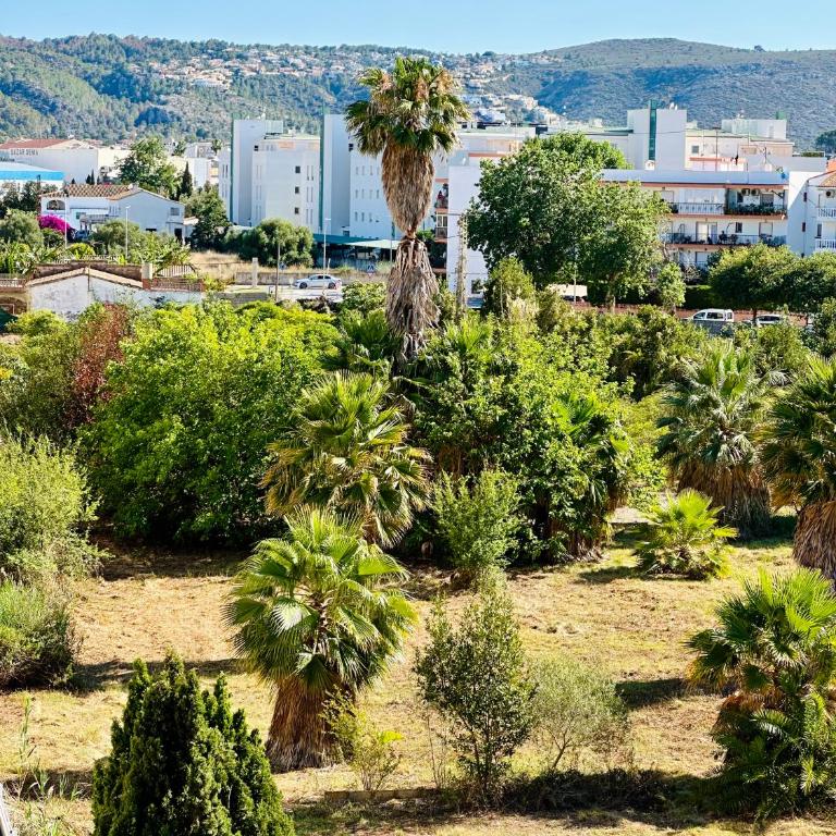 Jardines de Denia 24 - Apartamento de 1 dormitorio - 15