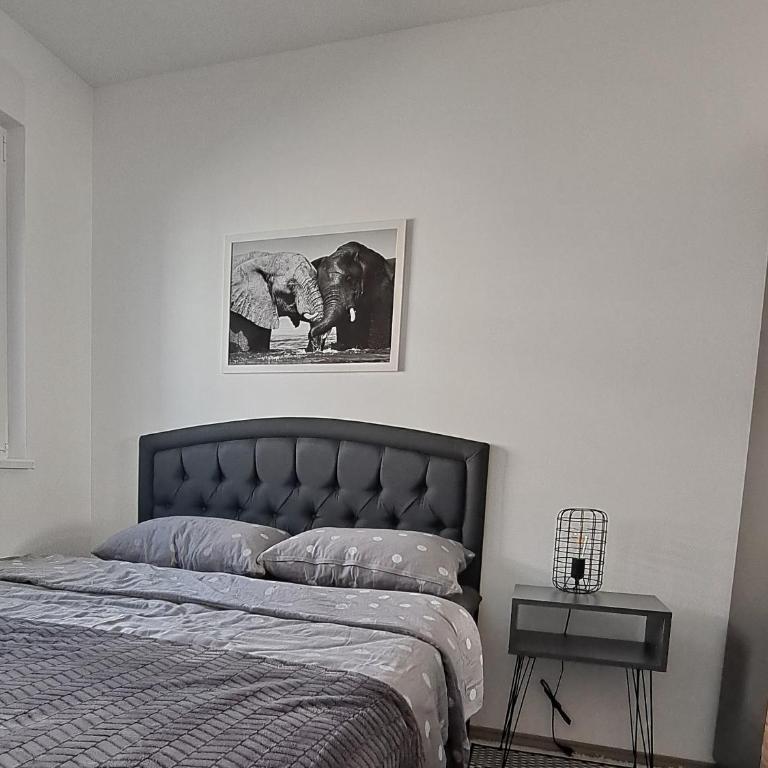 Elephant Apartments - Apartman sa 1 Spavaćom Sobom - 12