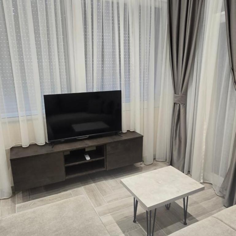Deluxe Apartmani Vila Pejovic Sutomore - One-Bedroom Deluxe Apartment - 2