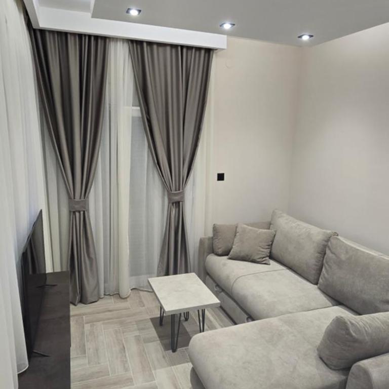 Deluxe Apartmani Vila Pejovic Sutomore - One-Bedroom Deluxe Apartment - 6
