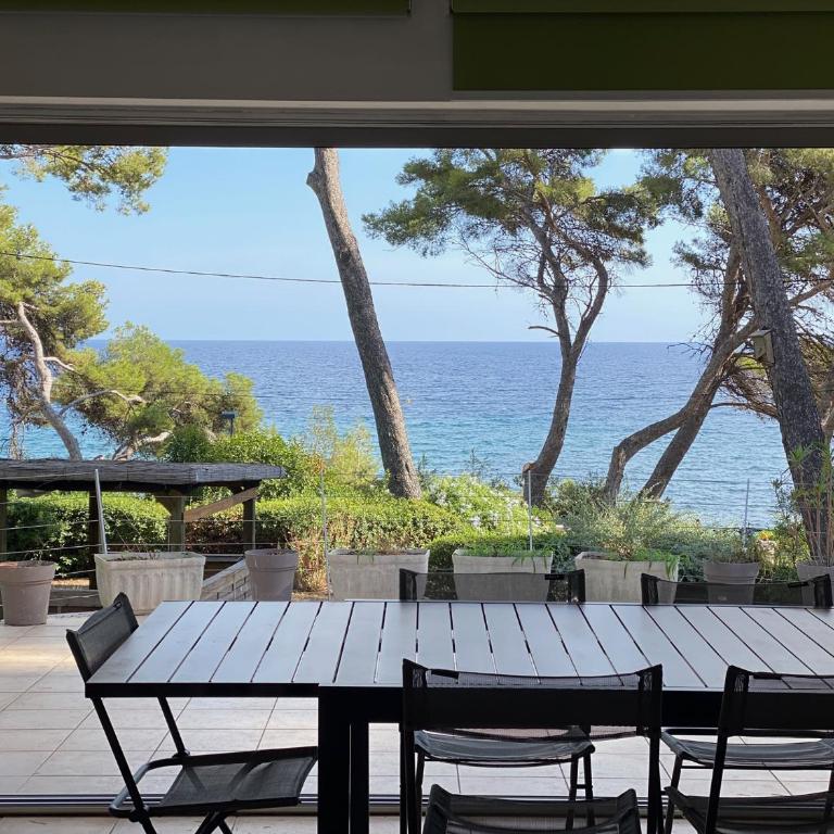 Grande villa face à la plage, superbe vue mer - Villa - 1