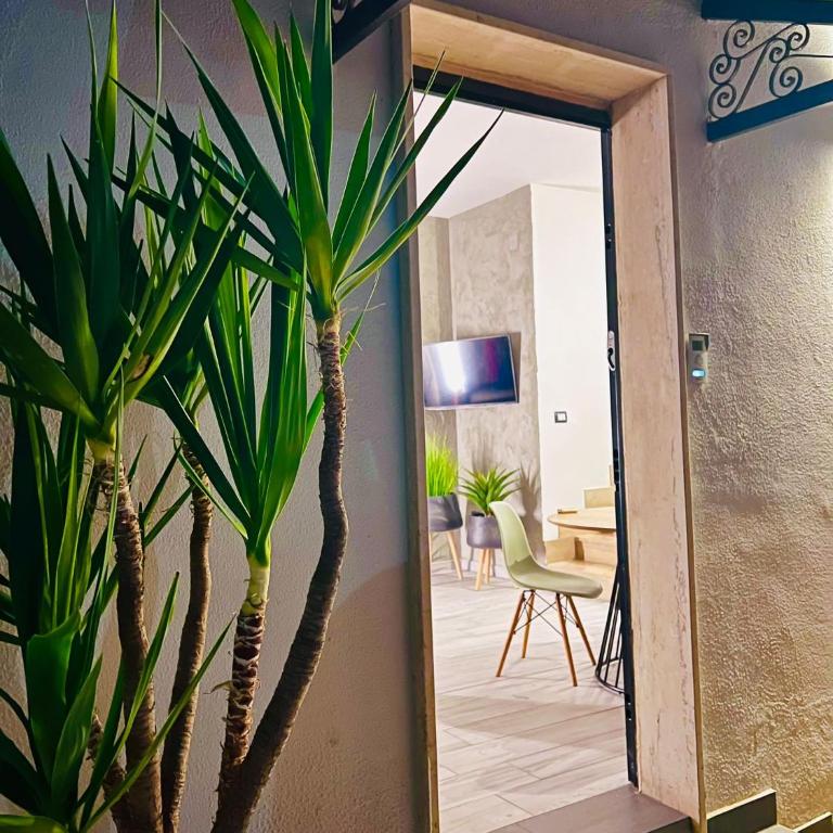 Casa Yucca - Appartamento con 1 Camera da Letto - 15