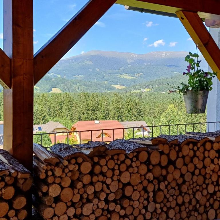 APARTMENT Eva in OBDACH - Apartment mit 2 Schlafzimmern und Bergblick - 4