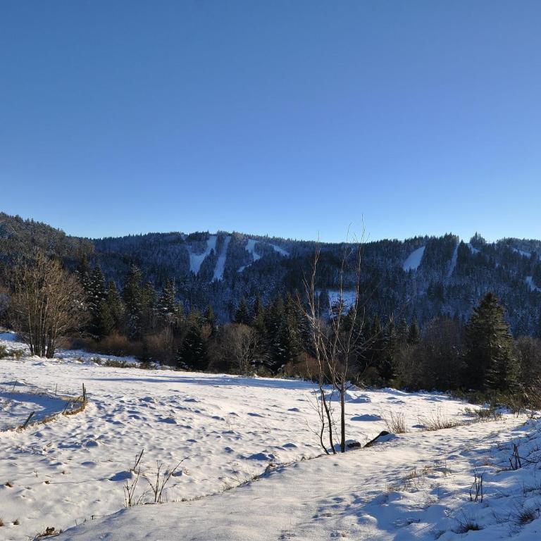 Chalet Dyna, luxe, calme et sérénité - Chalet - 40