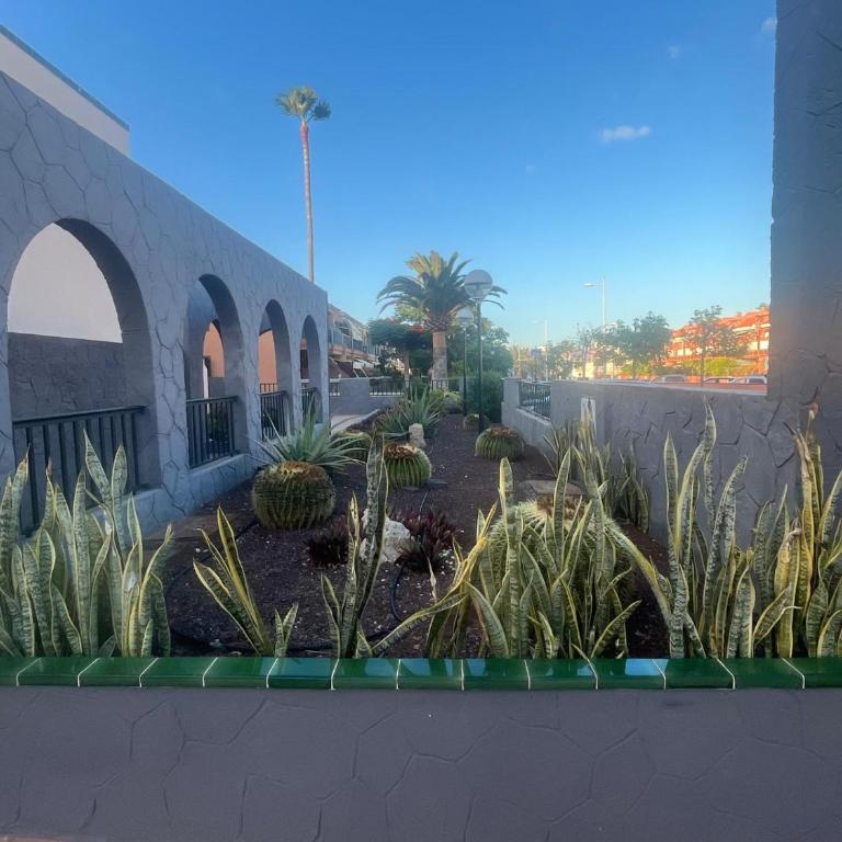 Casa Montaña Amarilla 60 - Apartamento de 2 dormitorios - 81