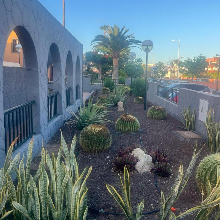 Casa Montaña Amarilla 60 - Apartamento de 2 dormitorios - 84