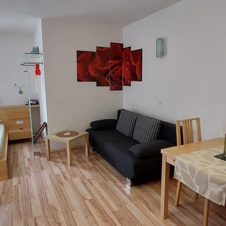 Landhaus Müller - Studio mit Schlafsofa - 5