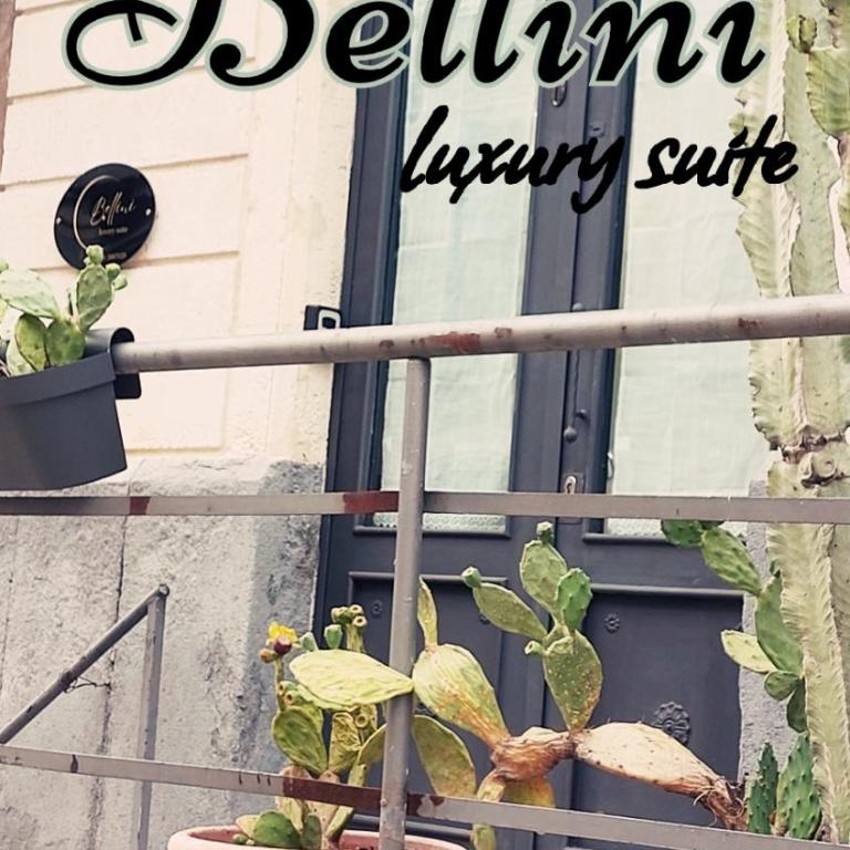 Bellini luxury suite - Suite Deluxe con Vasca Idromassaggio - 32