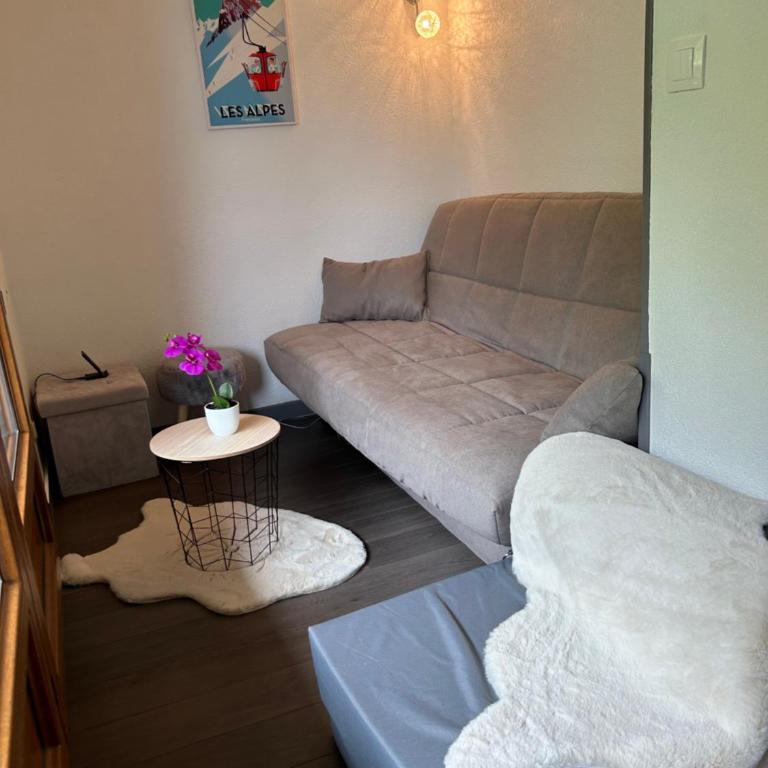 Appartement confortable Abondance centre-ville - Appartement 1 Chambre - 19