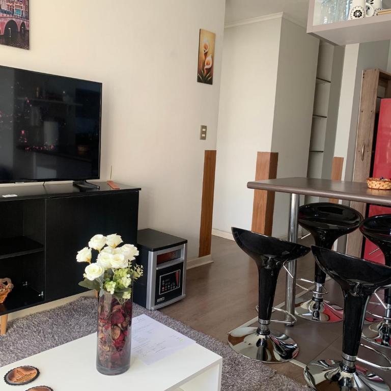 Departamento Amoblado - Apartamento de 2 dormitorios - 1