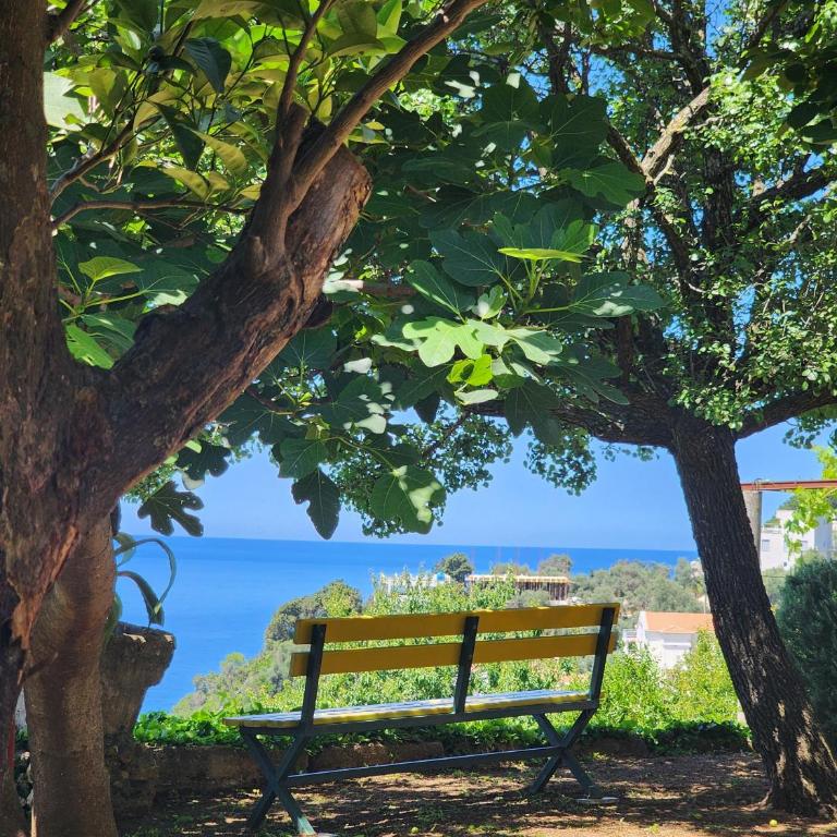 Apartment Ulcinj - Apartment with Sea View - 19