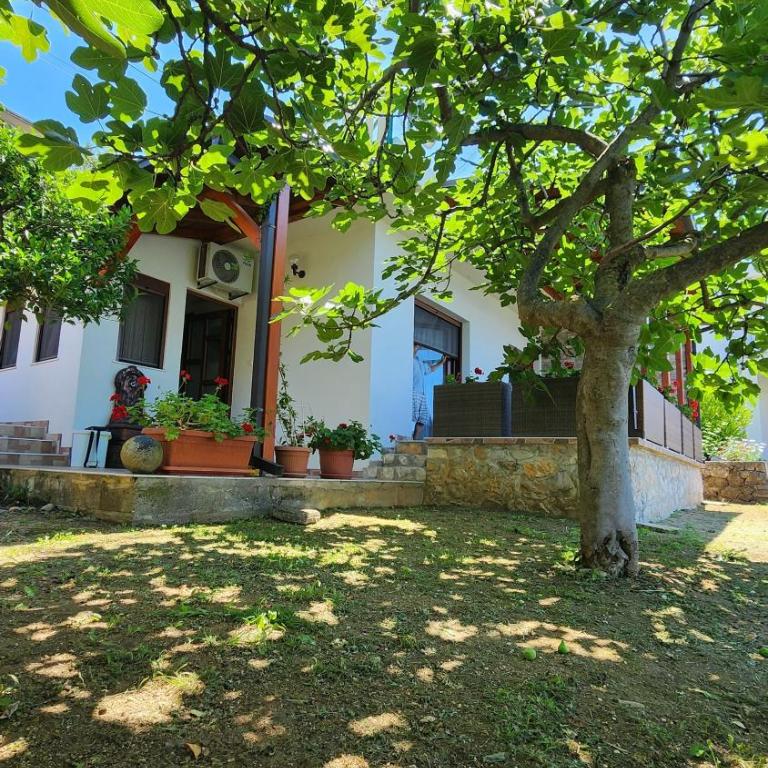 Apartment Ulcinj - Apartment with Sea View - 17