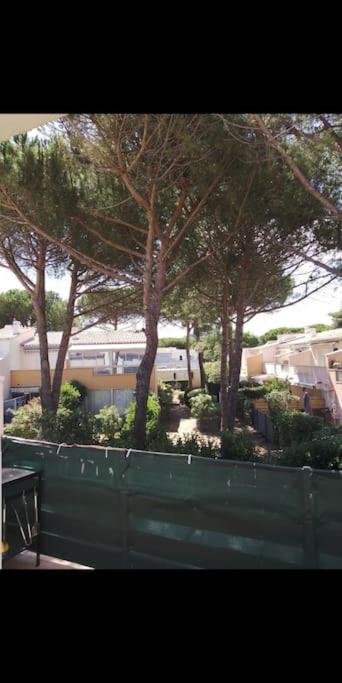 Appartement à 100m du village naturiste,tout équipé, climatisé,place parking - One-Bedroom Apartment - 13