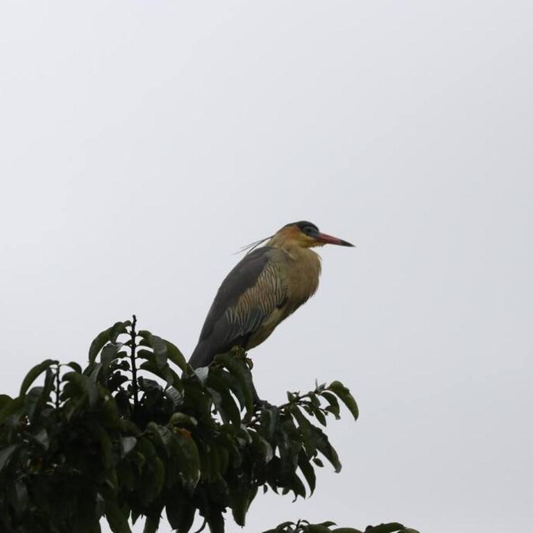 Casa Satori - Two-Bedroom House - 21