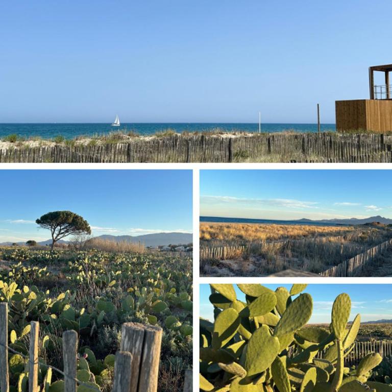 Saint Cyprien - T2 RDC 4P avec piscine, proche plage et port, parking privé, animaux admis - FR-1-793-7 - Appartamento - 12