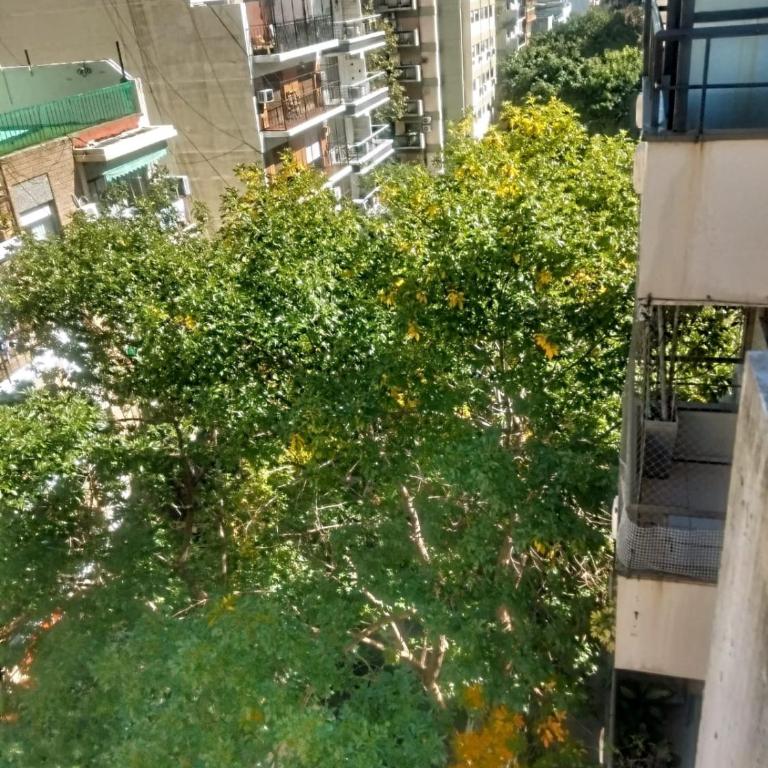 VDO 2341 BELGRANO C.A.B.A - Apartamento de 1 dormitorio - 19