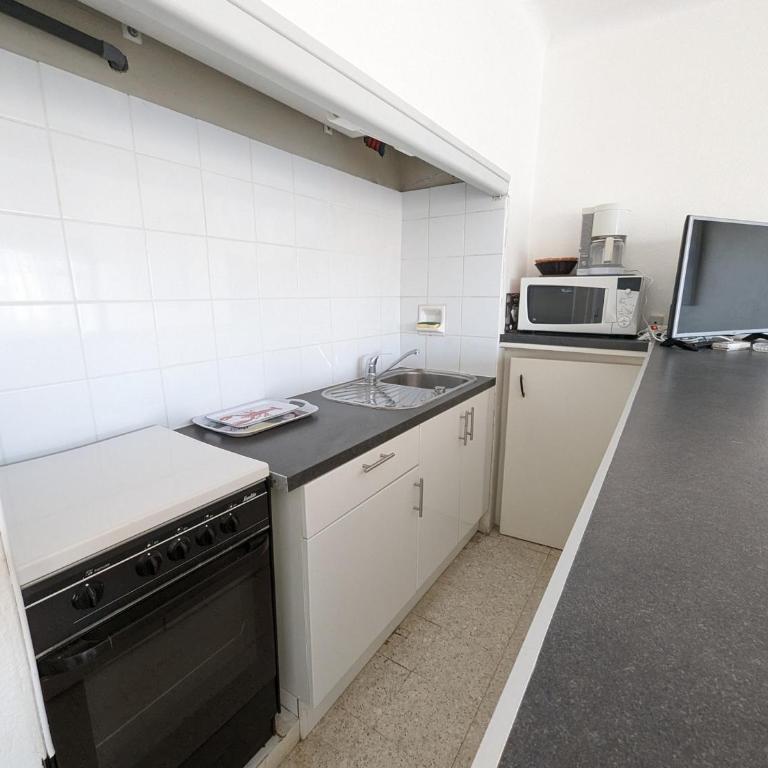 T2 face mer, climatisé, parking privé, 4 pers - FR-1-797-11 - Appartement - 9