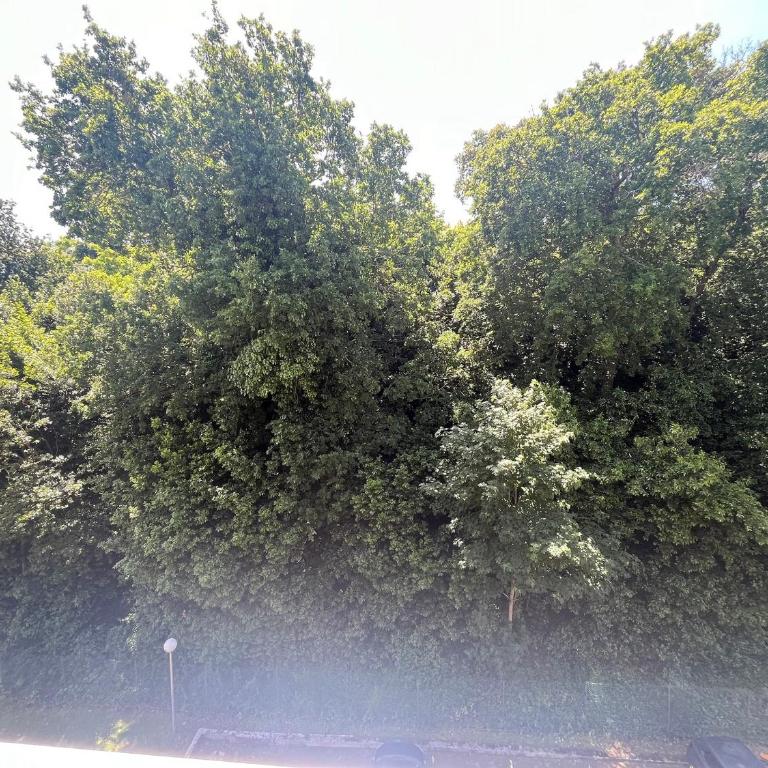 Studio Cabine avec Balcon Sud, Parking Privé à Arcachon - FR-1-374-227 - Estudio - 18