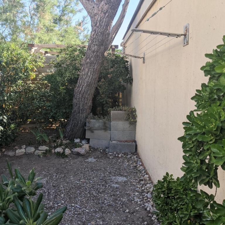 Charmant T3 rénové à 60m de la plage avec terrasse, jardin et parking clos - FR-1-797-28 - Appartement - 21