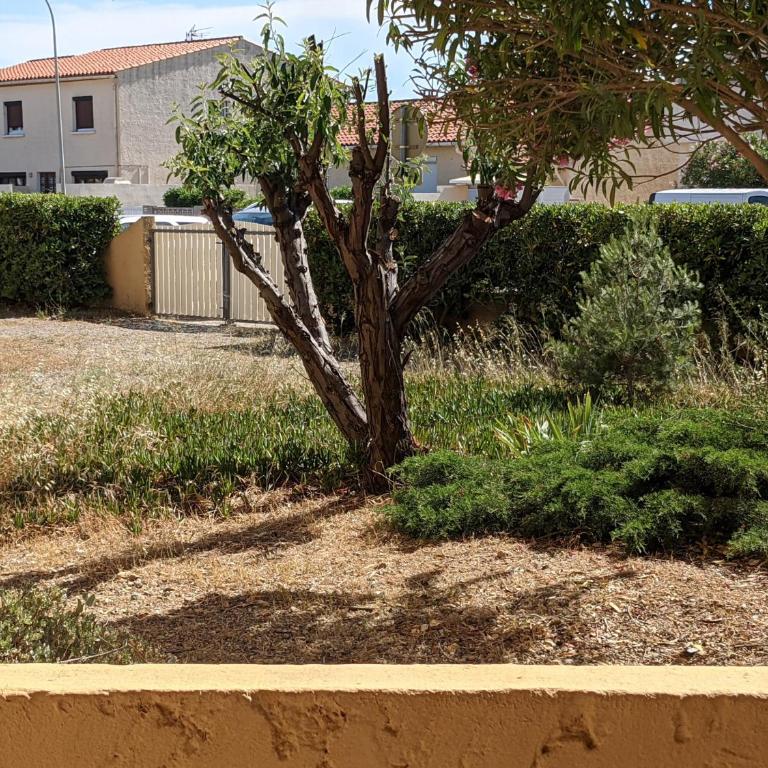 Charmant T2 proche plage à Port-la-Nouvelle, terrasse et parking inclus - FR-1-797-29 - Appartement - 1