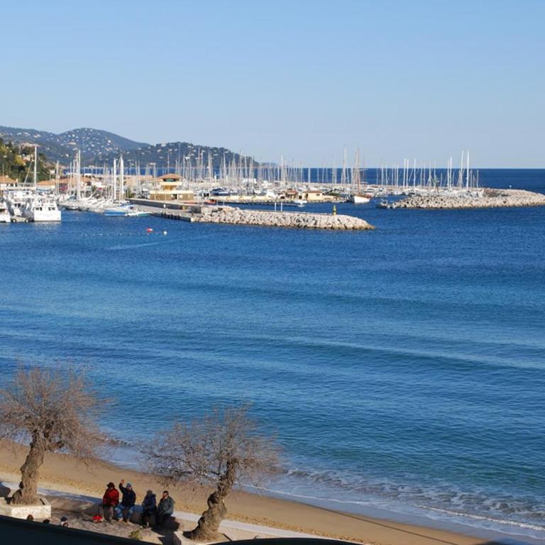 T2 Cabine pour 4 personnes au Lavandou avec balcon vue mer - FR-1-803-48 - Apartamento - 1