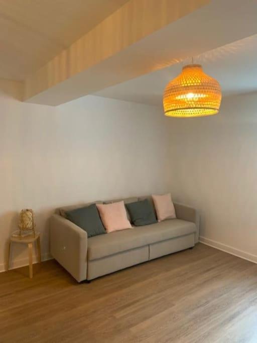 Maison hyper centre maxi 28pers Tour d'Auvergne - Appartement - 24