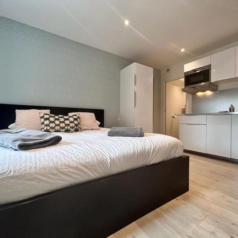 Maison hyper centre maxi 28pers Tour d'Auvergne - Appartement - 29