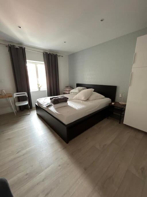 Maison hyper centre maxi 28pers Tour d'Auvergne - Appartement - 32