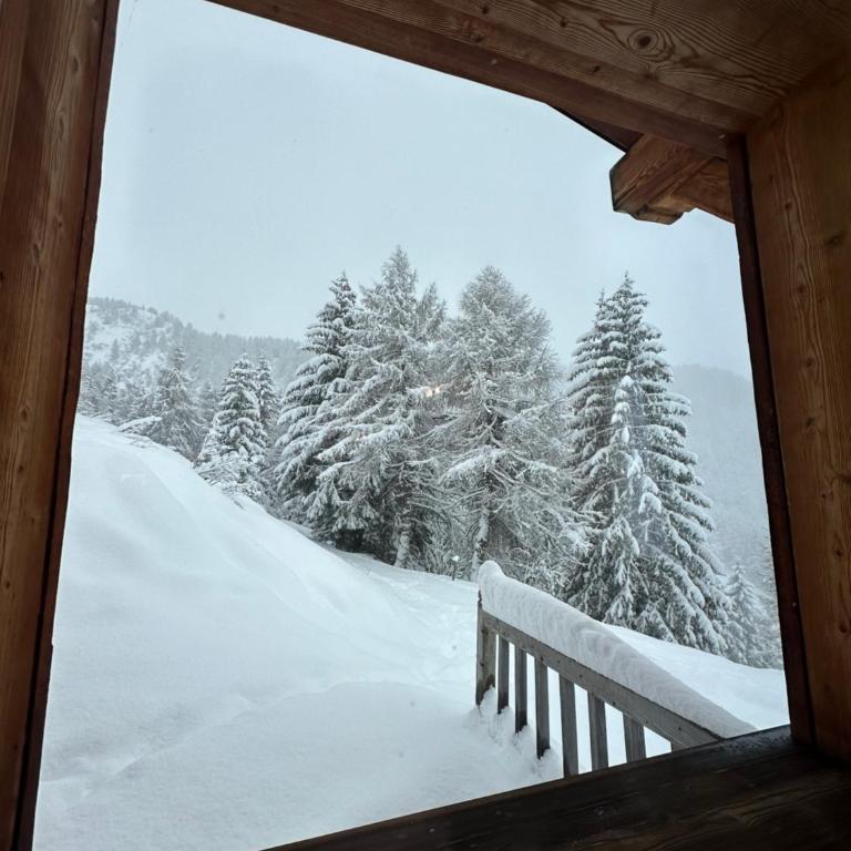 Tonale Ski-in AlpView Studio - Appartamento con Vista Montagna - 19
