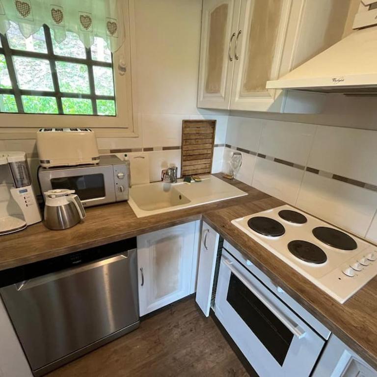 Bel appart dans chalet Pla Adet - Apartment mit 3 Schlafzimmern - 2