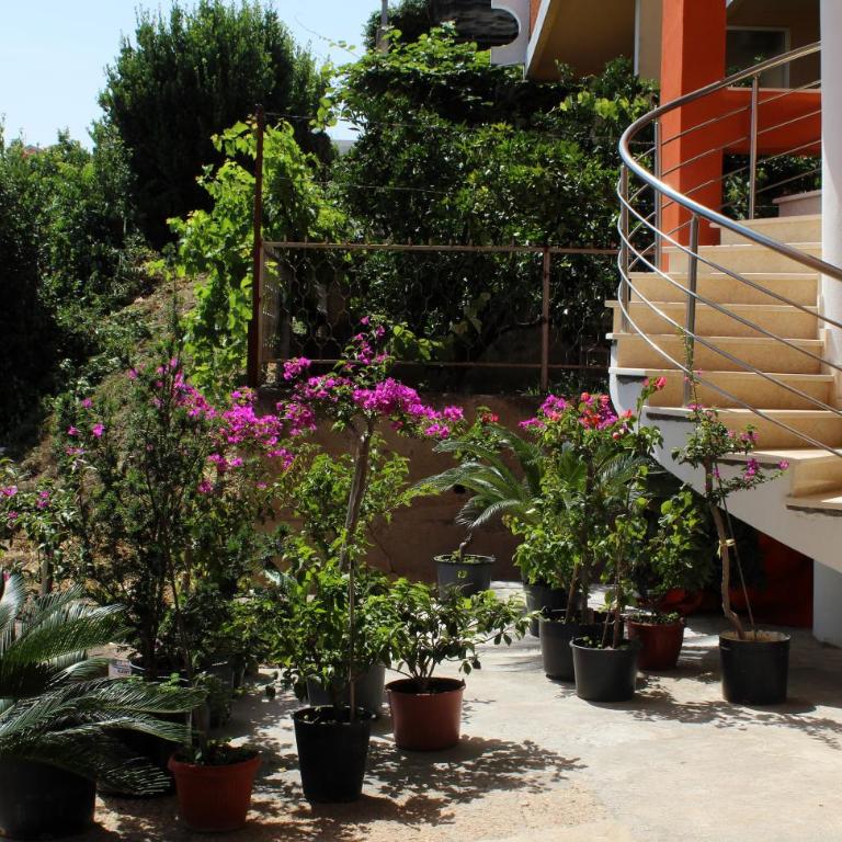 Apartments Olga - Apartman sa 1 Spavaćom Sobom - 4
