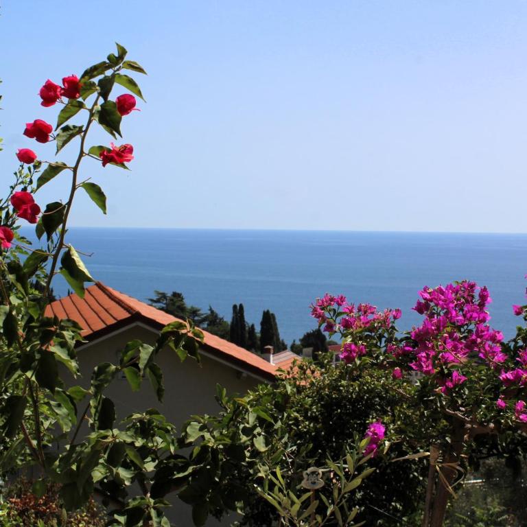 Apartments Olga - Apartman sa 1 Spavaćom Sobom - 6