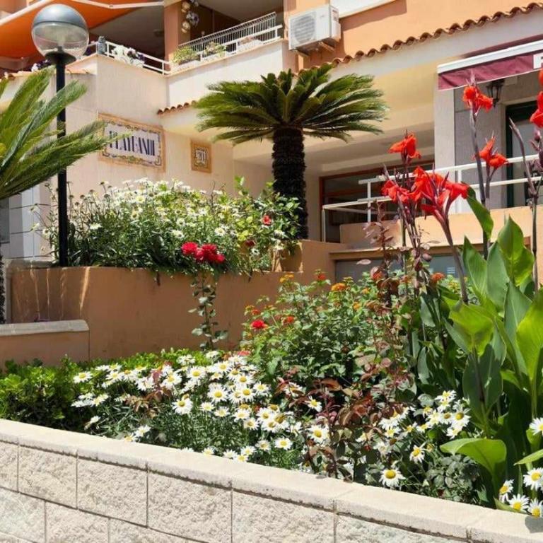 Apartamento PARADISE Solo Familias - Apartamento de 3 dormitorios - 66