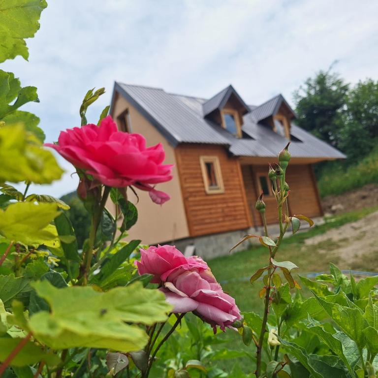Dušan_guest_house - Apartman sa 3 Spavaće Sobe - 3