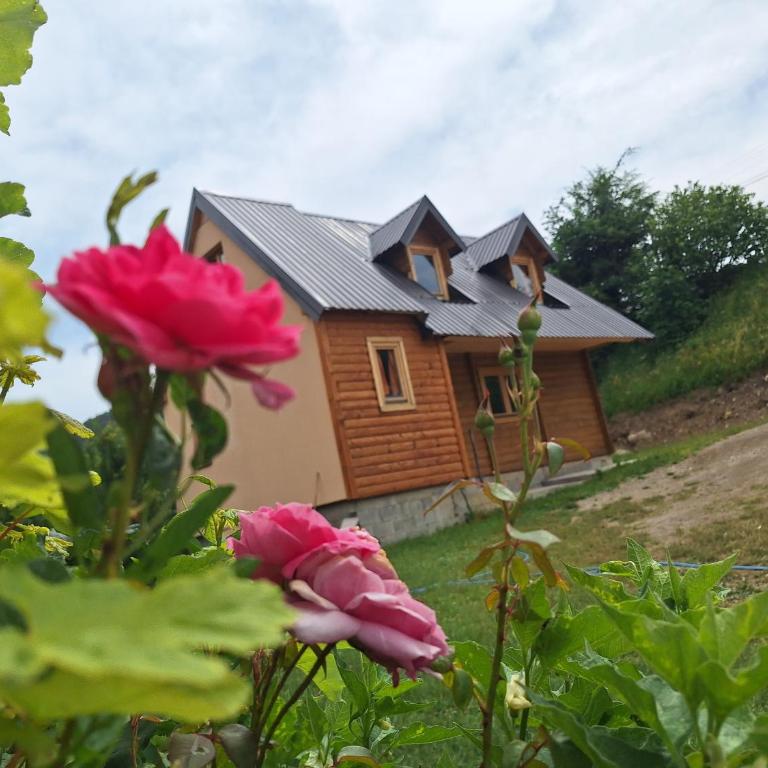 Dušan_guest_house - Apartman sa 3 Spavaće Sobe - 5