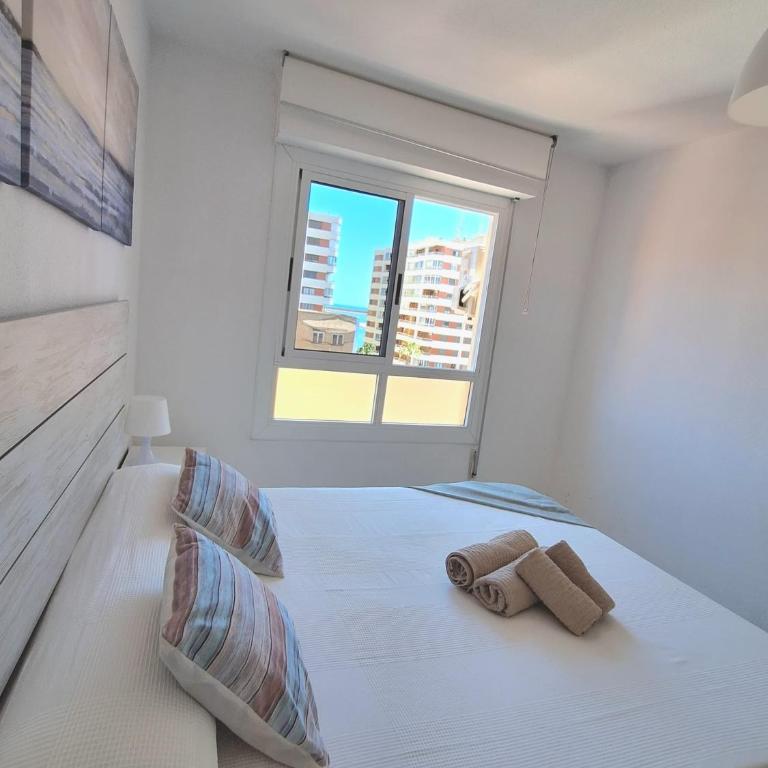 M&R AcaciasBeach, parking privado - Apartamento de 1 dormitorio - 13