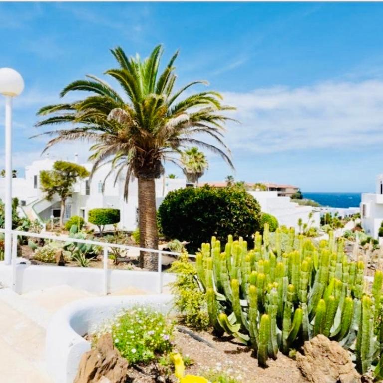 Hermoso piso en Poris de Abona - Salt & Sand Escape Poris - Apartamento de 1 dormitorio - 15