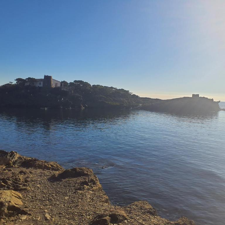 Isla Privada en Cadaqués de ensueño con 11 habitaciones dobles con baño privado y piscina - Villa - 67