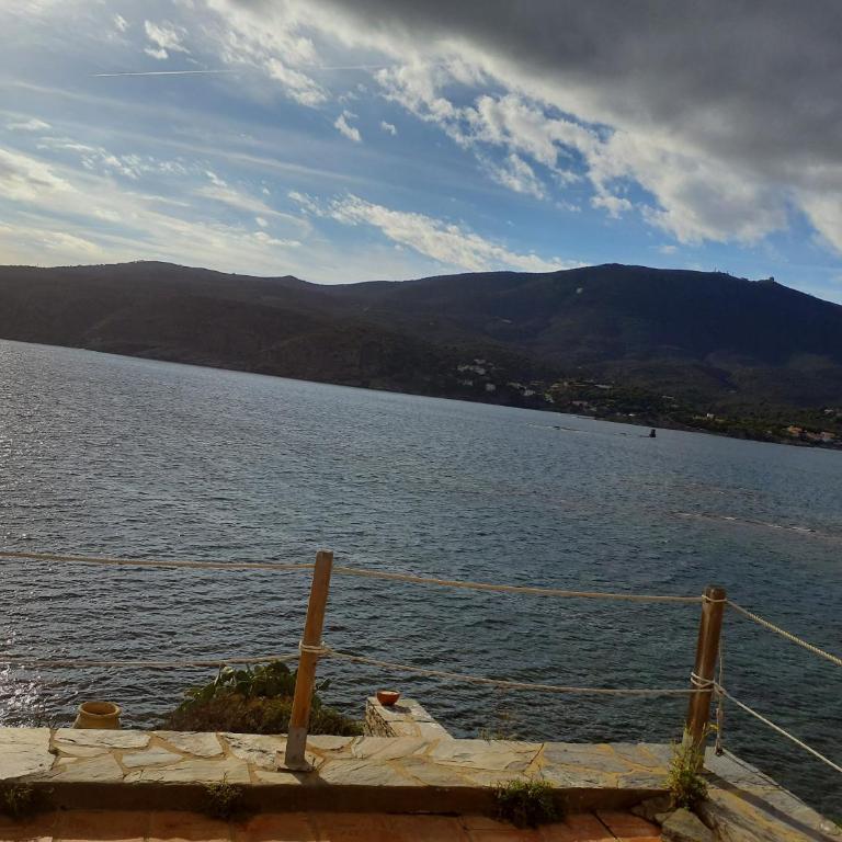 Isla Privada en Cadaqués de ensueño con 11 habitaciones dobles con baño privado y piscina - Villa - 68