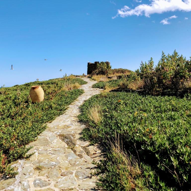 Isla Privada en Cadaqués de ensueño con 11 habitaciones dobles con baño privado y piscina - Villa - 69