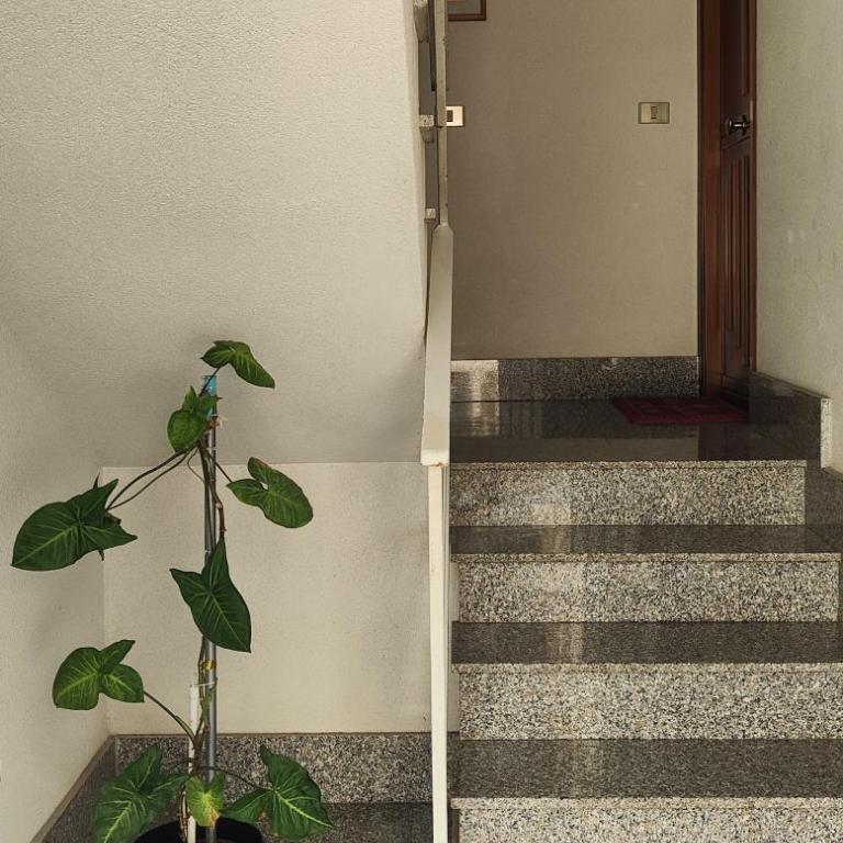 Casa Zibè - Appartamento - Piano Terra - 25
