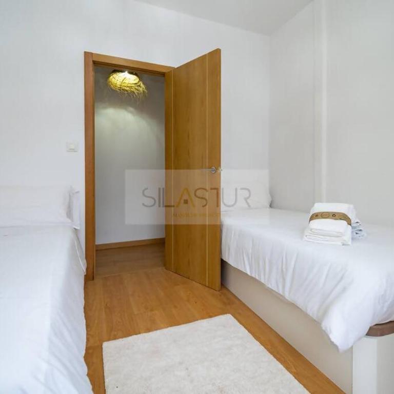 Vive Oviedo 3 By Silastur - Apartamento de 2 dormitorios - 14